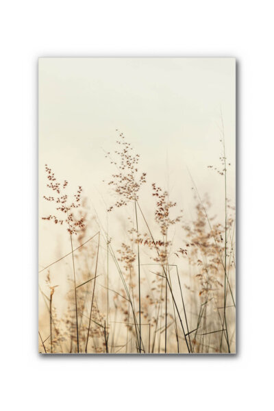 Akustikbild Wiesentraum 2