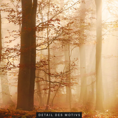 Akustikbild Herbstwald (1/3)