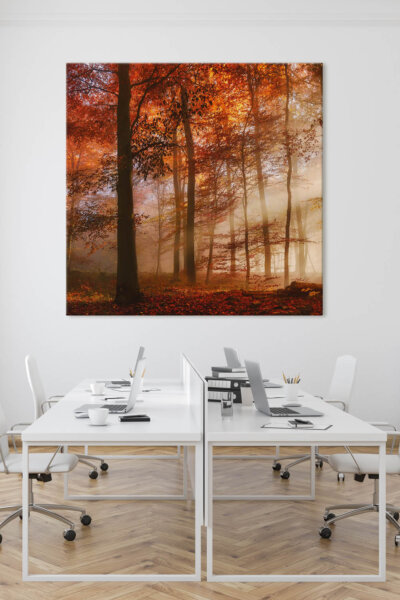 Akustikbild Herbstwald (1/3)