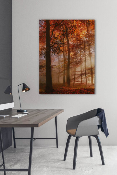 Akustikbild Herbstwald (1/3)