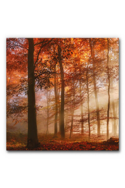 Akustikbild Herbstwald (1/3)