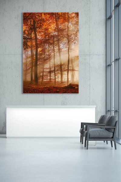 Akustikbild Herbstwald (1/3)