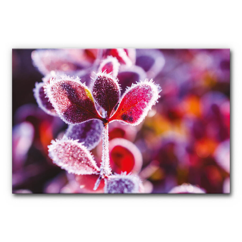 Akustikbild Winterzweig I