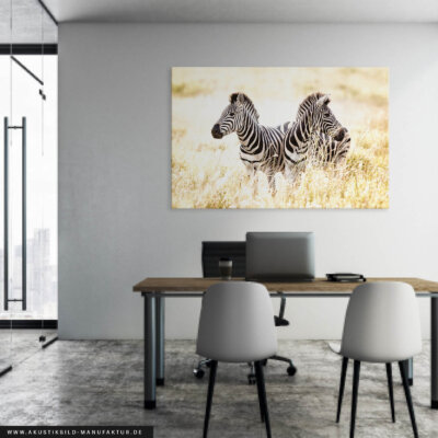 Akustikbild Zwei Zebras
