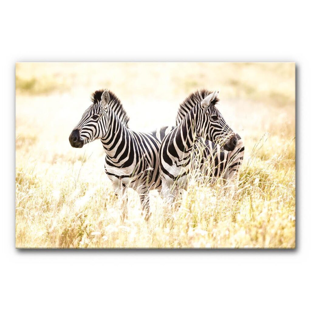 Akustikbild Zwei Zebras