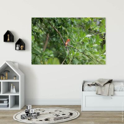 Akustikbild Orangener Vogel