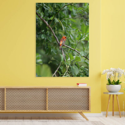 Akustikbild Orangener Vogel