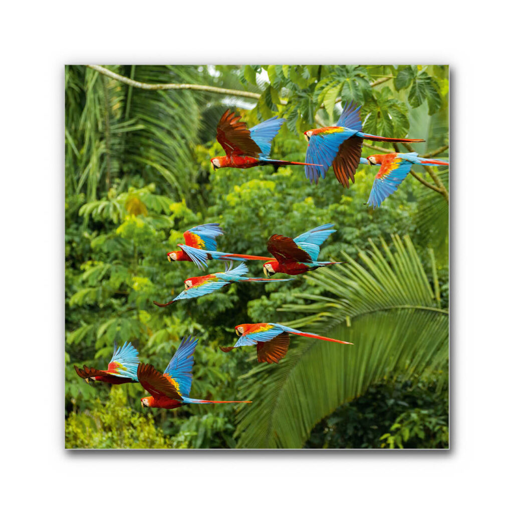 Akustikbild Buntes Paradies