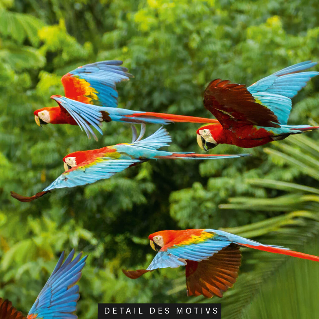 Akustikbild Buntes Paradies