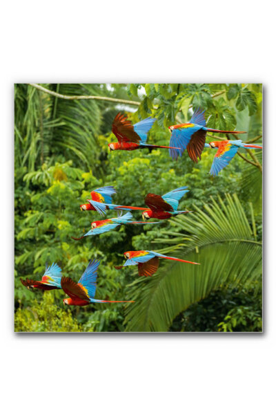Akustikbild Buntes Paradies