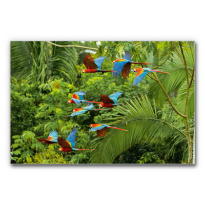 Akustikbild Buntes Paradies