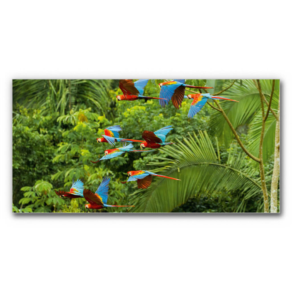 Akustikbild Buntes Paradies