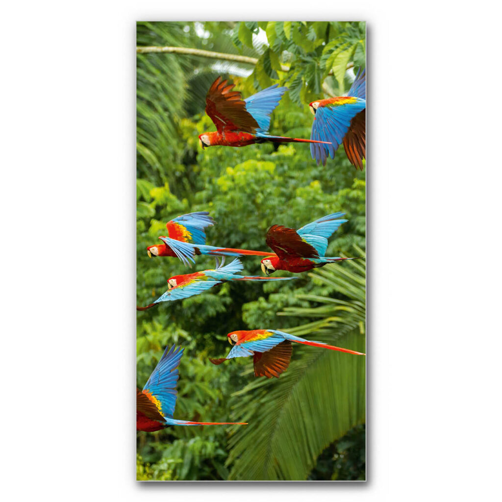 Akustikbild Buntes Paradies