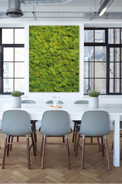 Akustikbild Moosbild VIII als Vertical Garden Motiv