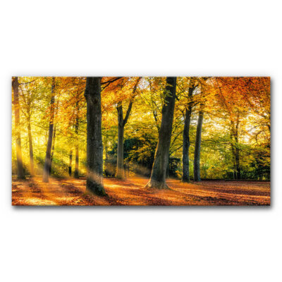 Akustikbild Herbstwald II (auch als Panorama bis 400 cm)