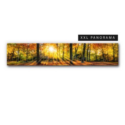 Akustikbild Herbstwald II (auch als Panorama bis 400 cm)