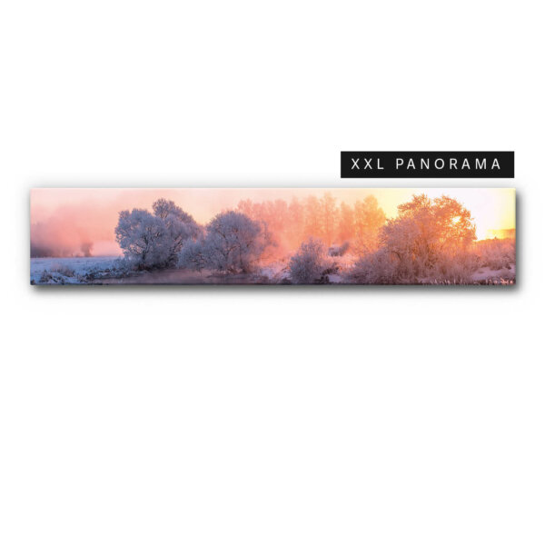 Schallschutz XXL mit Winterwald Akustikbild im Panorama Format