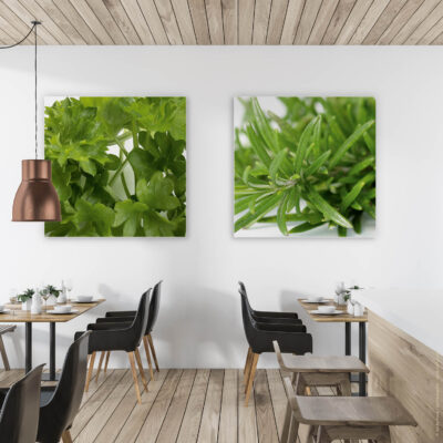 Akustikbild Petersilie – Bild 2