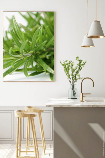 Akustikbild Rosmarin – Bild 3
