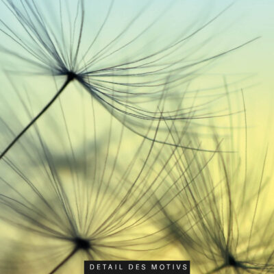Akustikbild Pusteblume – Bild 2