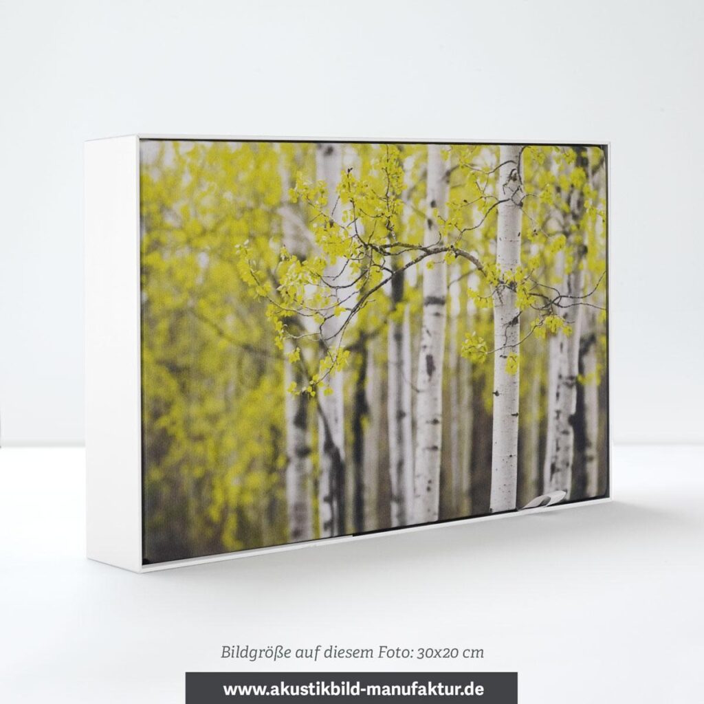 Muster Akustikbild – Motivdruck mit AluStyle Silber