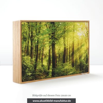 Akustikbild mit Motiv nach Wunsch (200 x 90 x 5cm, WoodStyle) mit Rahmen aus Eiche