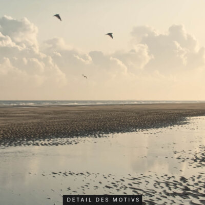 Akustikbild Wattenmeer