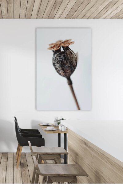 Akustikbild Herbstknospe