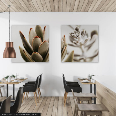 Akustikbild Sukkulenten II