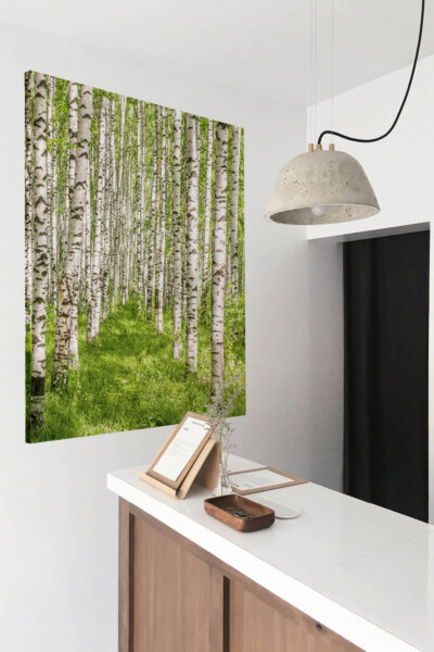 Akustikbild Birke VII