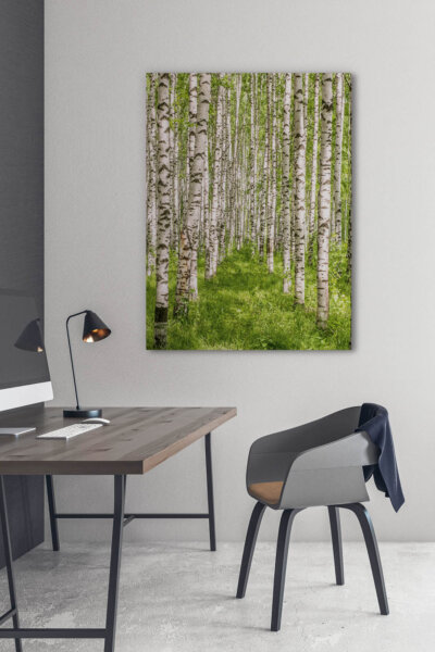 Akustikbild Birke VII