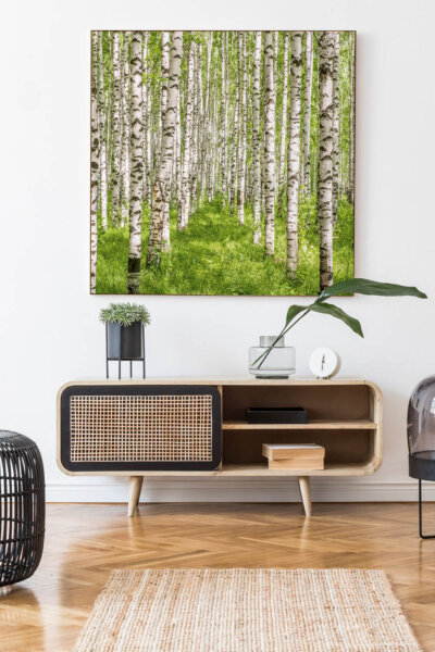 Akustikbild Birke VII