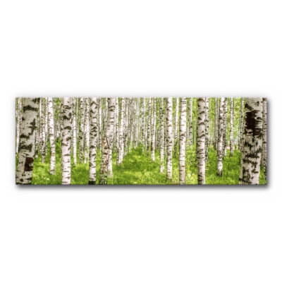 Akustikbild Birke VII