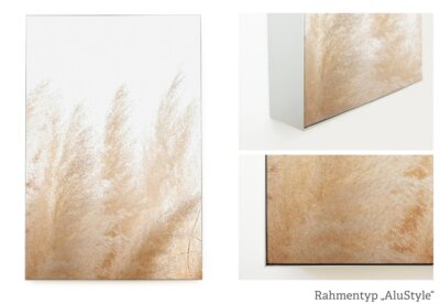 Akustikbild im AluStyle mit silber eloxiertem Aluminiumrahmen, Beispiel Motiv Pampasgras