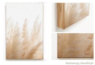Akustikbild im WoodStyle mit Echtholzrahmen in Eiche, Beispiel Motiv Pampasgras