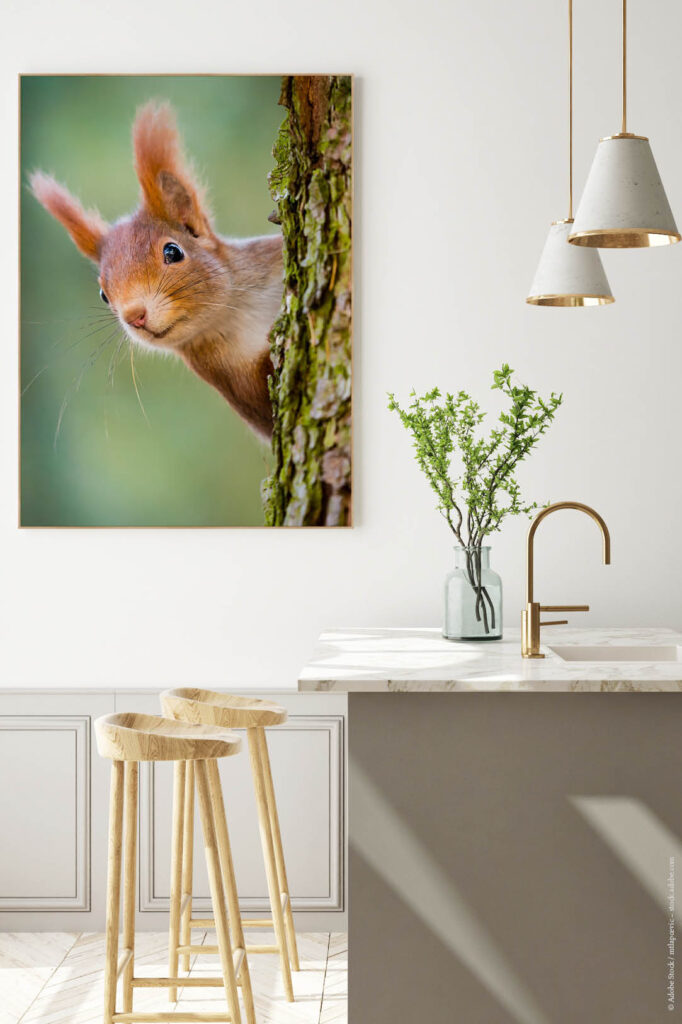 Akustikbild Eichhörnchen