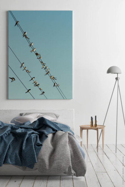 Akustikbild Vogelschwarm 2