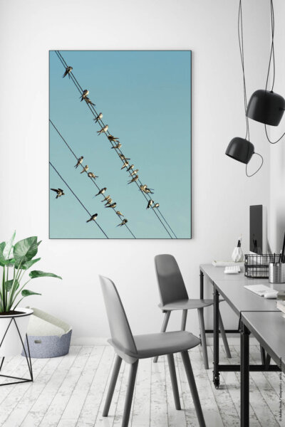 Akustikbild Vogelschwarm 2
