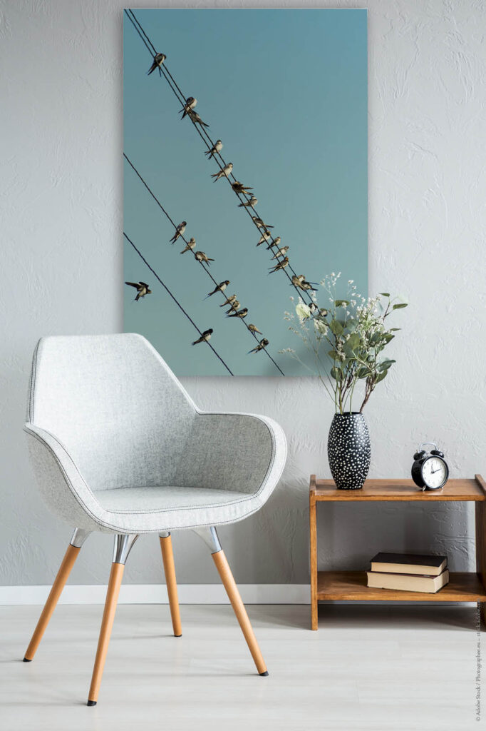 Akustikbild Vogelschwarm 2