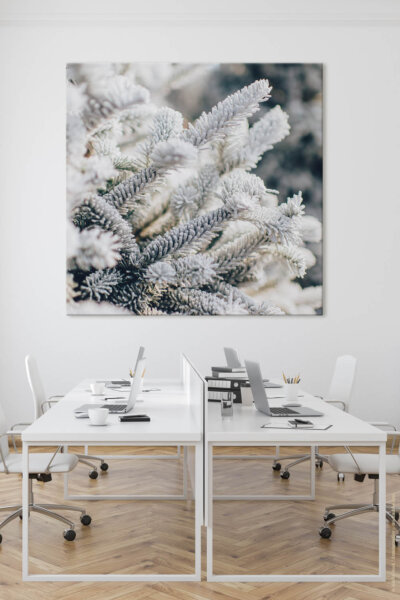 Akustikbild Tanne im Schnee