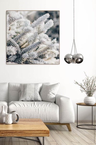 Akustikbild Tanne im Schnee