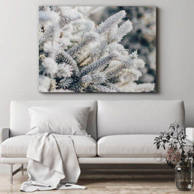 Akustikbild Tanne im Schnee