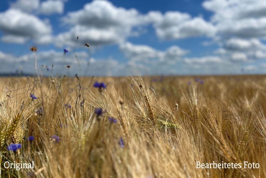 Akustikbild mit eigenem Motiv