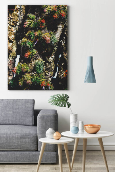 Vertical Garden I