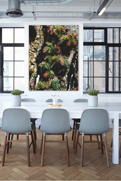 Vertical Garden I