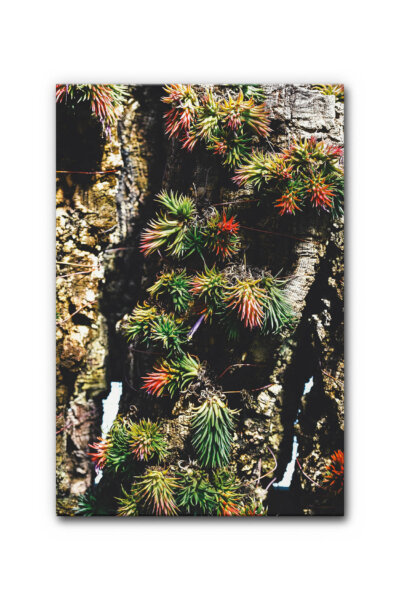 Vertical Garden I