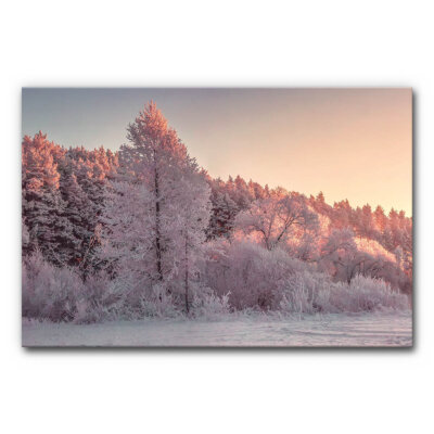 Akustikbild Winterwald