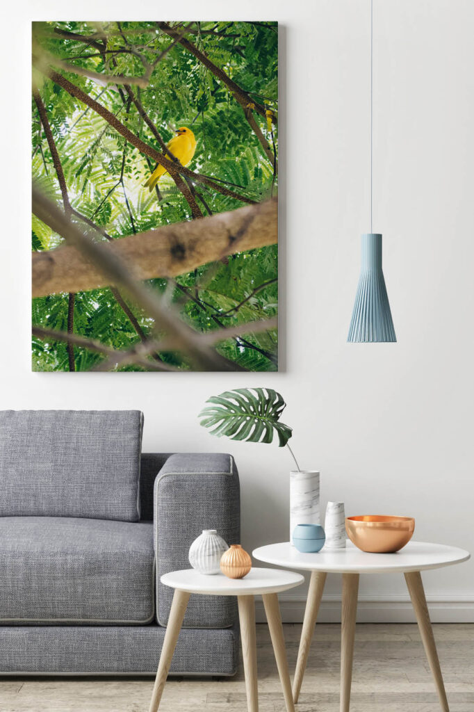 Akustikbild Gelber Vogel im Paradies