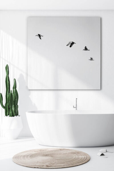Akustikbild Möwen 2 – Bild 3