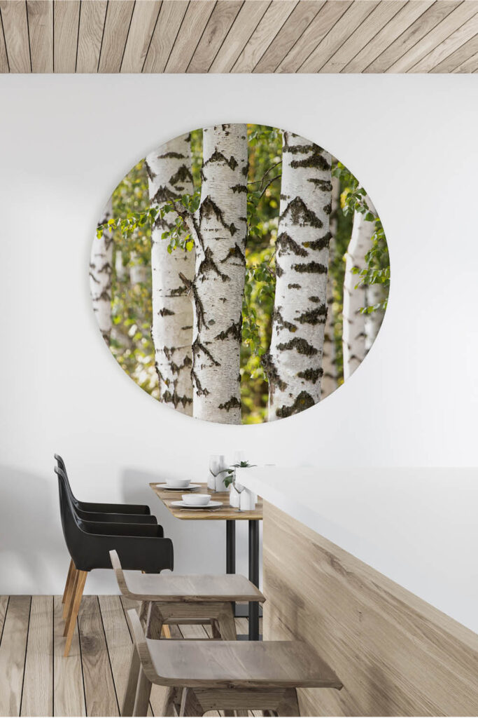 Akustikbild Schallabsorberkreis Birke